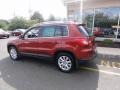 2009 Wild Cherry Metallic Volkswagen Tiguan SE 4Motion  photo #4