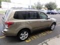 2009 Topaz Gold Metallic Subaru Forester 2.5 X Premium  photo #8