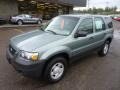 Titanium Green Metallic - Escape XLS 4WD Photo No. 8