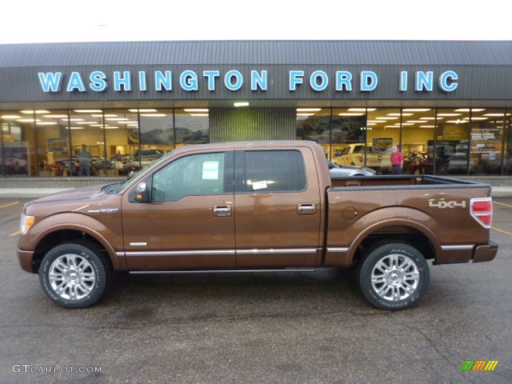 Golden Bronze Metallic Ford F150