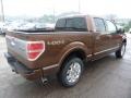 2011 Golden Bronze Metallic Ford F150 Platinum SuperCrew 4x4  photo #4