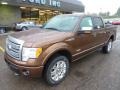 2011 Golden Bronze Metallic Ford F150 Platinum SuperCrew 4x4  photo #8