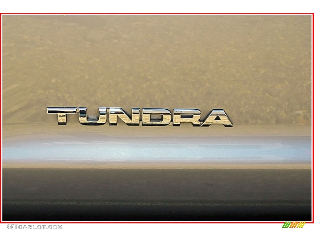 2007 Tundra SR5 Double Cab - Silver Sky Metallic / Black photo #4