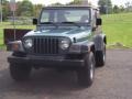 1999 Medium Fern Green Pearlcoat Jeep Wrangler Sport 4x4  photo #7