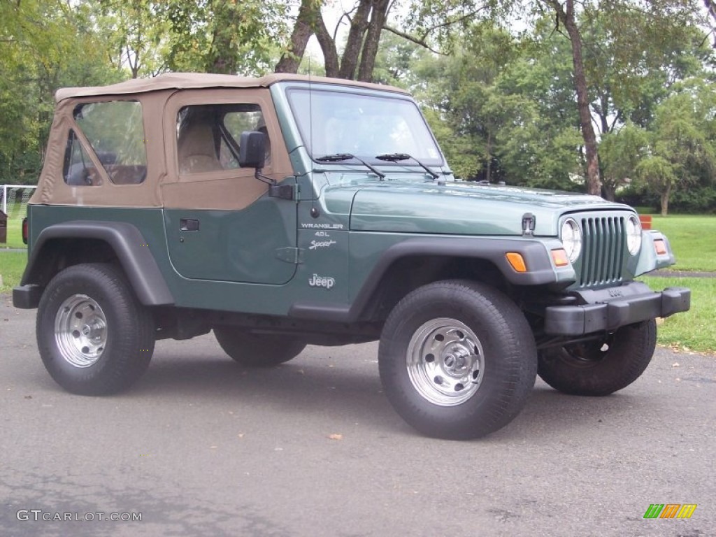 1999 Wrangler Sport 4x4 - Medium Fern Green Pearlcoat / Camel photo #8