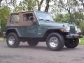 1999 Medium Fern Green Pearlcoat Jeep Wrangler Sport 4x4  photo #9