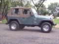 1999 Medium Fern Green Pearlcoat Jeep Wrangler Sport 4x4  photo #10