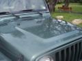 1999 Medium Fern Green Pearlcoat Jeep Wrangler Sport 4x4  photo #16