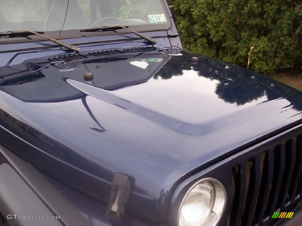 1997 Wrangler SE 4x4 - Dark Blue Pearl / Gray photo #19