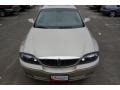 Light French Silk Metallic - LS V8 Photo No. 2
