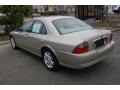 Light French Silk Metallic - LS V8 Photo No. 7
