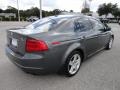 Anthracite Metallic - TL 3.2 Photo No. 9