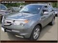 Nimbus Gray Metallic 2008 Acura MDX 