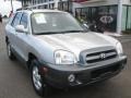 Smart Silver - Santa Fe GLS 4WD Photo No. 1