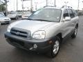 Smart Silver - Santa Fe GLS 4WD Photo No. 5