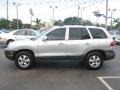 Smart Silver - Santa Fe GLS 4WD Photo No. 6