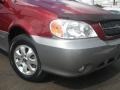 2004 Ruby Red Kia Sedona EX  photo #2