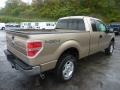 2011 Pale Adobe Metallic Ford F150 XLT SuperCab 4x4  photo #2