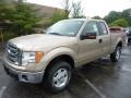 2011 Pale Adobe Metallic Ford F150 XLT SuperCab 4x4  photo #5