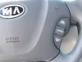 2006 White Kia Sedona LX  photo #9