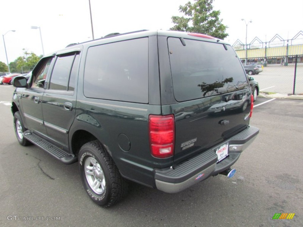 2001 Expedition XLT 4x4 - Dark Highland Green Metallic / Medium Parchment photo #5
