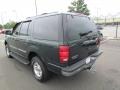 2001 Dark Highland Green Metallic Ford Expedition XLT 4x4  photo #5