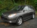 Dark Bronze Metallic - Veracruz Limited AWD Photo No. 1
