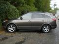 Dark Bronze Metallic - Veracruz Limited AWD Photo No. 13