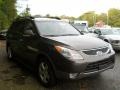 Dark Bronze Metallic - Veracruz Limited AWD Photo No. 15
