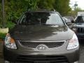 Dark Bronze Metallic - Veracruz Limited AWD Photo No. 16