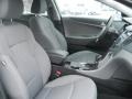 Iridescent Silver Blue Metallic - Sonata GLS Photo No. 17