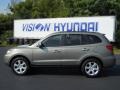 2007 Platinum Sage Hyundai Santa Fe Limited  photo #14