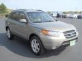 2007 Platinum Sage Hyundai Santa Fe Limited  photo #19