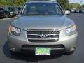 2007 Platinum Sage Hyundai Santa Fe Limited  photo #20