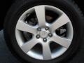 2007 Platinum Sage Hyundai Santa Fe Limited  photo #29