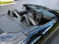 2009 Black Mercedes-Benz SLK 55 AMG Roadster  photo #11