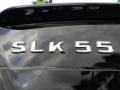  2009 SLK 55 AMG Roadster Logo