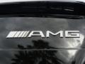 2009 Mercedes-Benz SLK 55 AMG Roadster Badge and Logo Photo