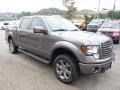 Sterling Grey Metallic - F150 FX4 SuperCrew 4x4 Photo No. 6