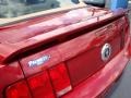 2005 Redfire Metallic Ford Mustang V6 Premium Convertible  photo #28