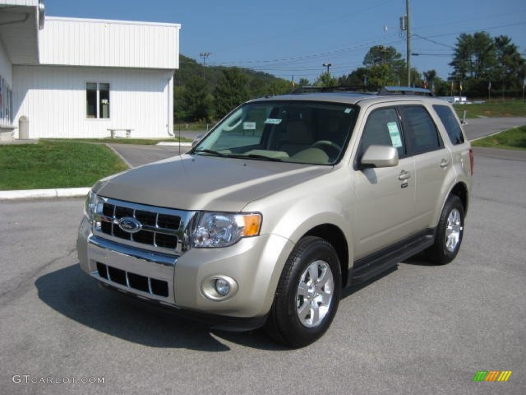 Gold Leaf Metallic 2012 Ford Escape Limited V6 4WD Exterior Photo #54537998