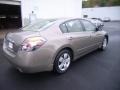 Pebble Beach Metallic - Altima 2.5 S Photo No. 5