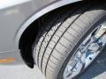 Tungsten Metallic - Challenger R/T Photo No. 11