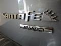 Platinum Sage - Santa Fe Limited 4WD Photo No. 13