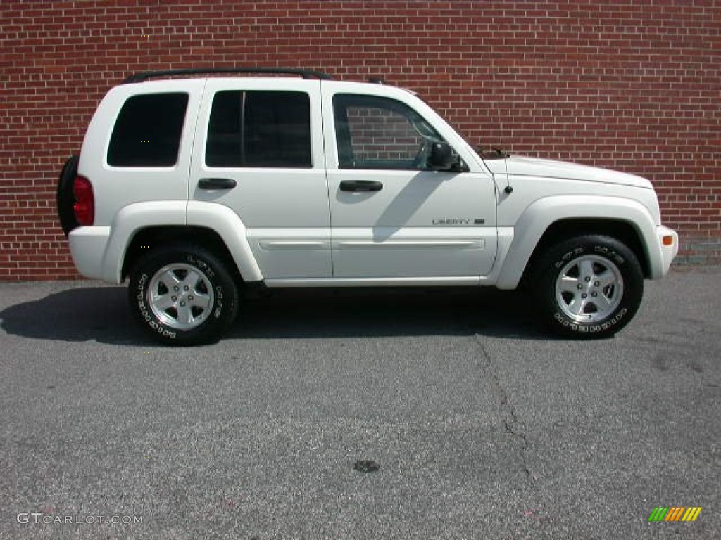 Stone White 2003 Jeep Liberty Limited Exterior Photo #54557681