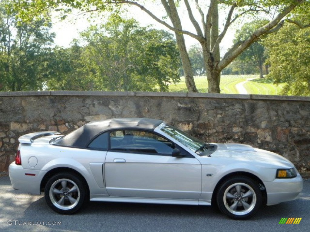 2002 Mustang GT Convertible - Satin Silver Metallic / Dark Charcoal photo #11