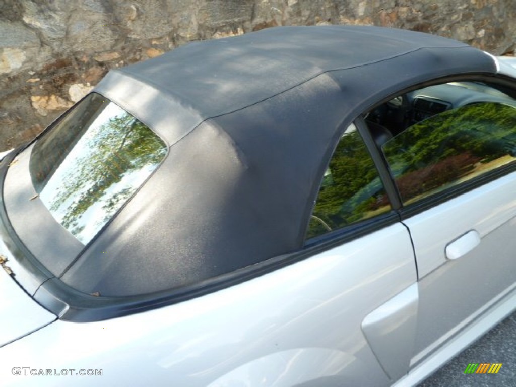 2002 Mustang GT Convertible - Satin Silver Metallic / Dark Charcoal photo #14