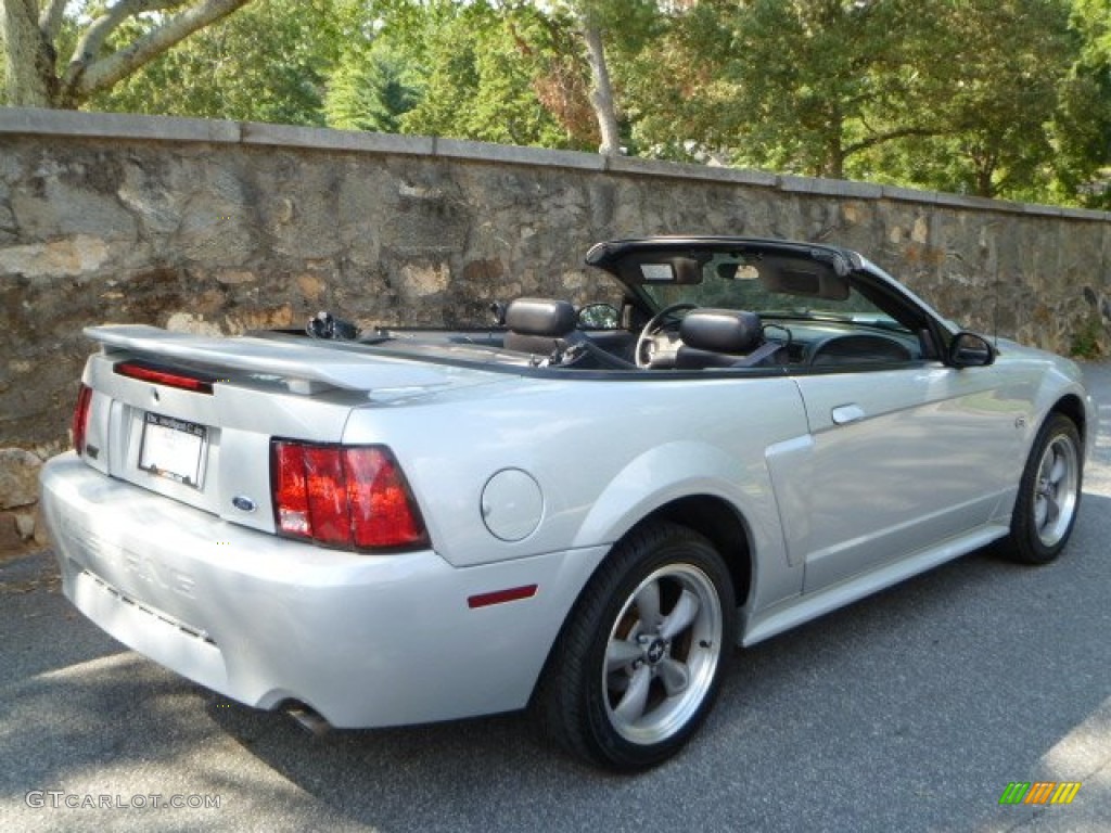 2002 Mustang GT Convertible - Satin Silver Metallic / Dark Charcoal photo #18