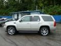 Quicksilver - Escalade AWD Photo No. 2
