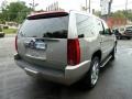 Quicksilver - Escalade AWD Photo No. 5